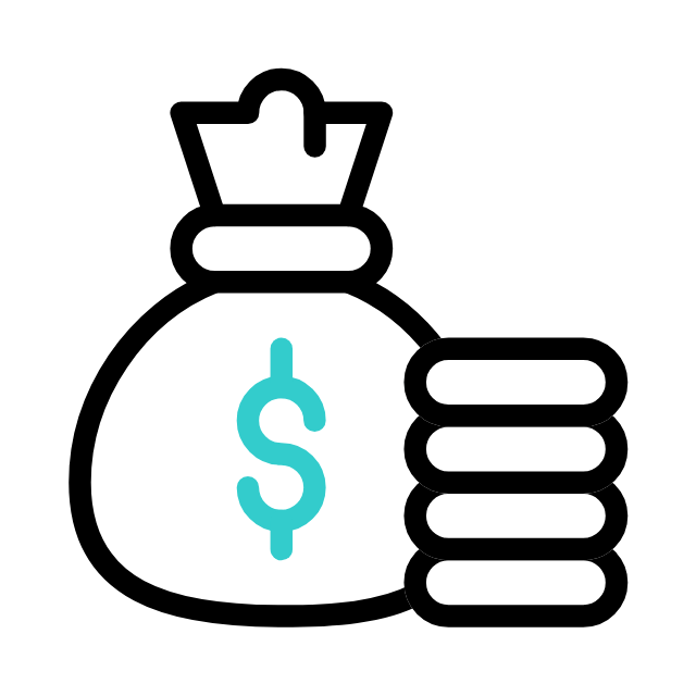 bolsa-de-dinero